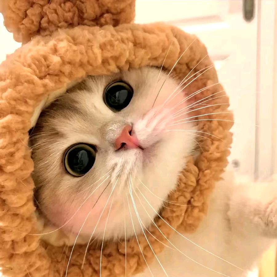 宜城市燃少泽百货店（个体工商户）