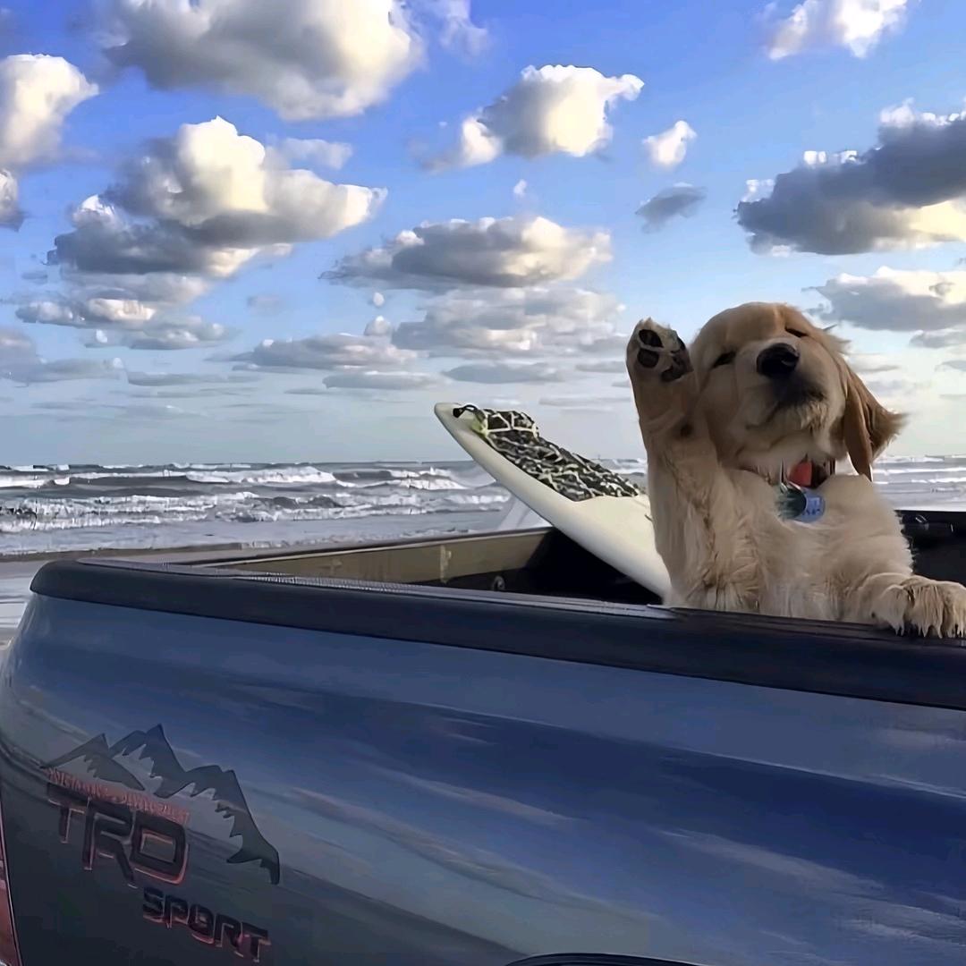 奥特不曼打不怪兽