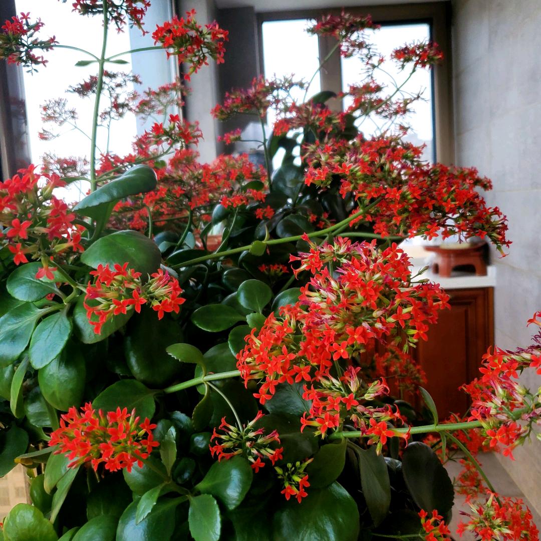 我的原创小天地