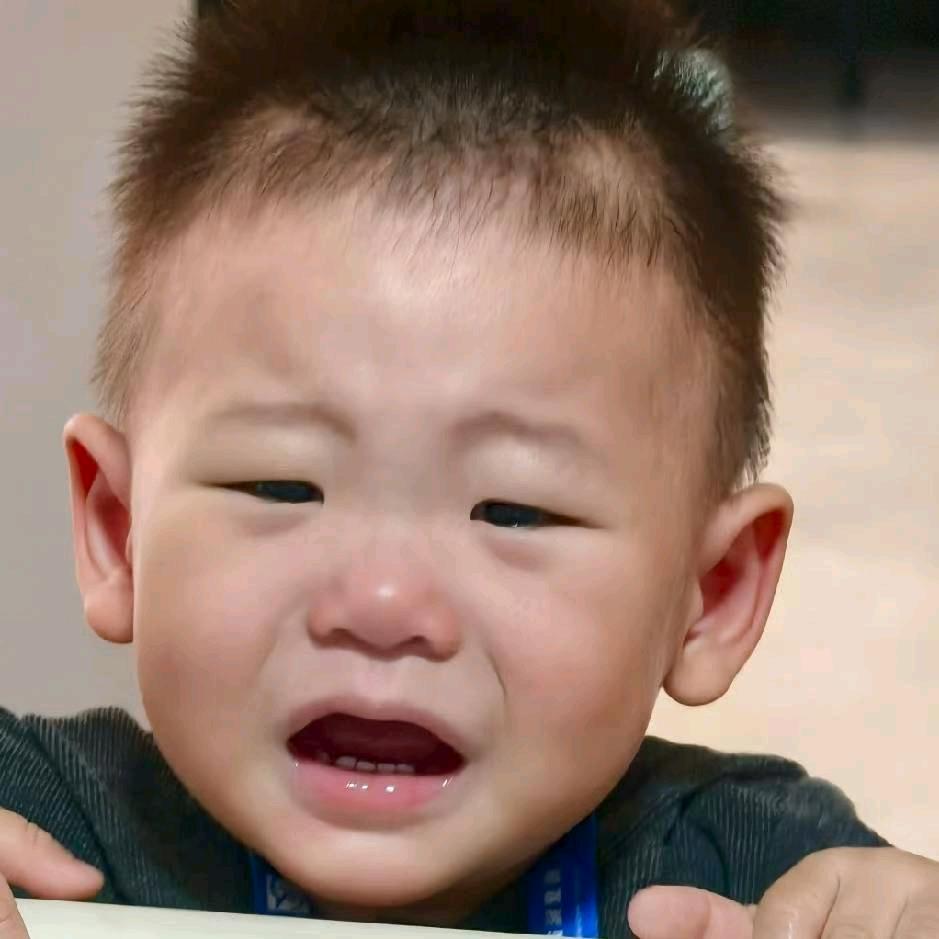靖书禾