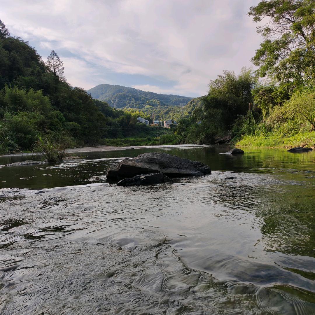 宁乡乡厨家宴一条龙