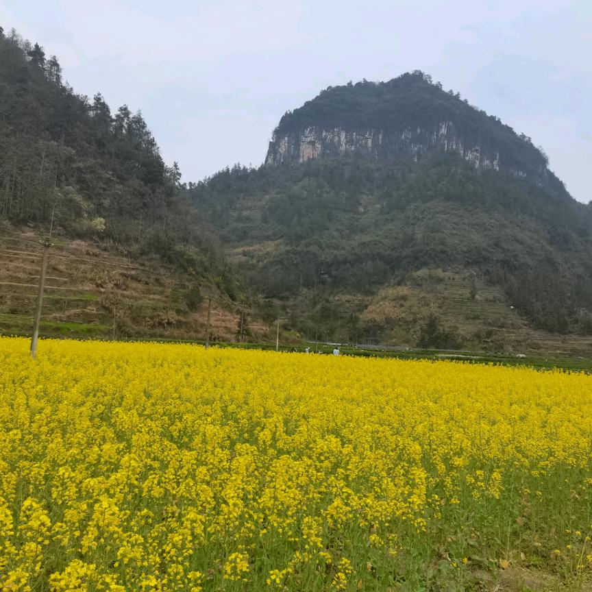 非常在