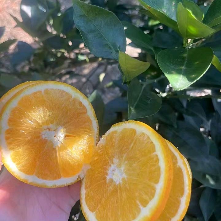 小米粒🧞‍♂️🧞‍♀️