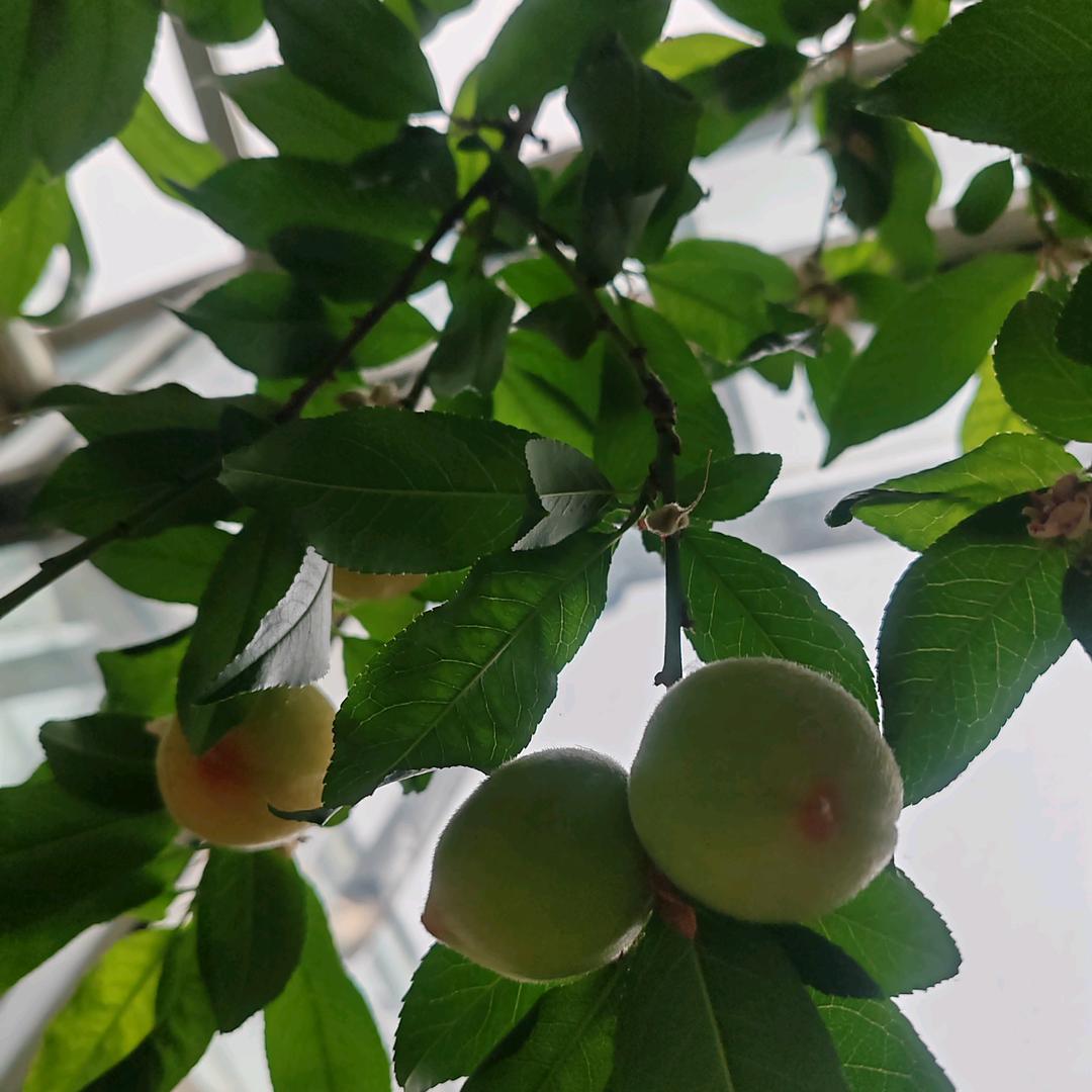 你若爱我如命我会舍相随