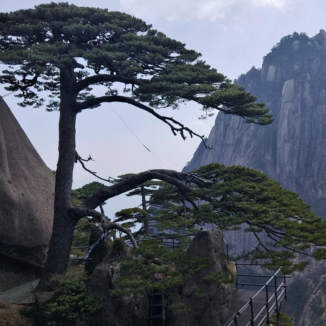 千寻哥土货铺