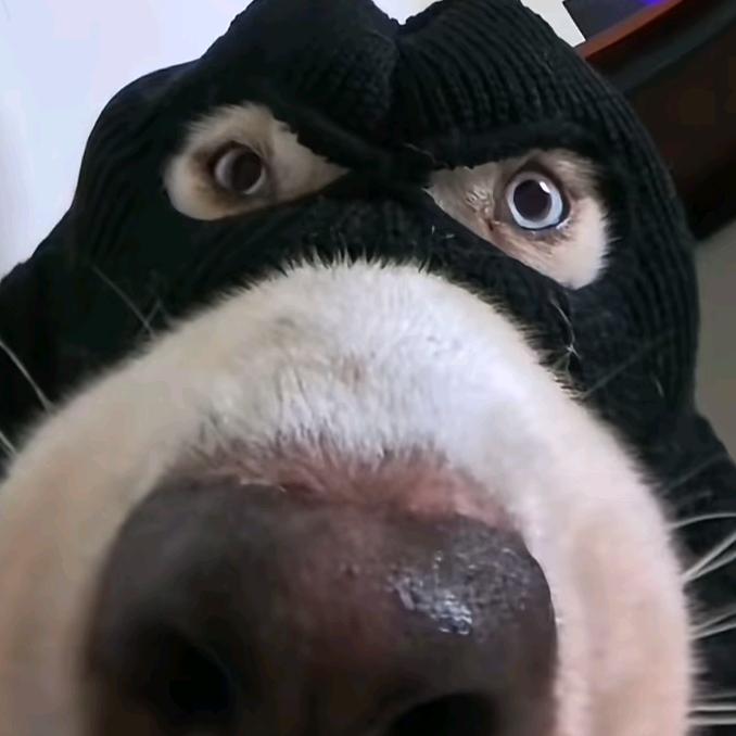 43684238741699854189