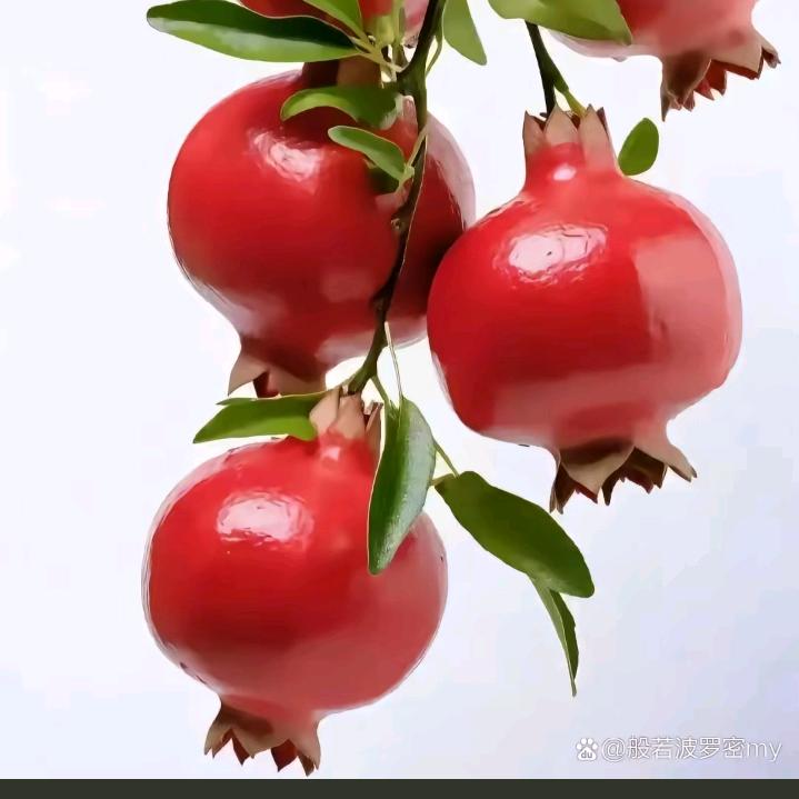 开心相伴