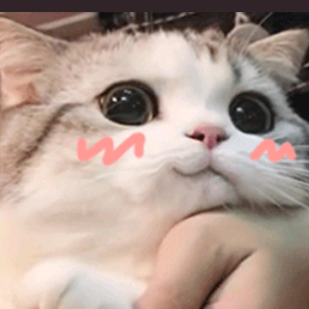 sn