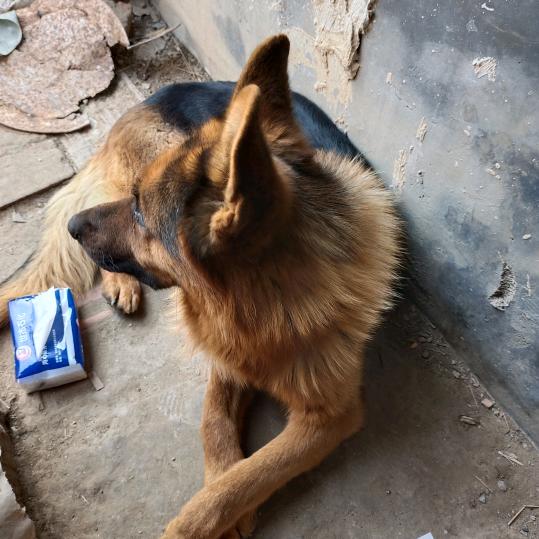 愛與被愛对自己好点