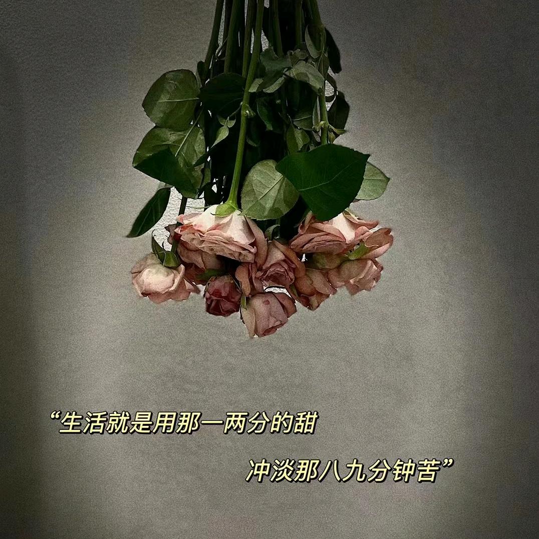 乖乖