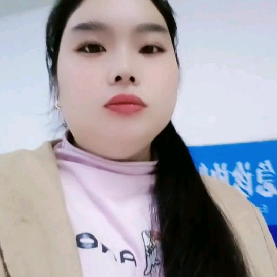 爱李登美