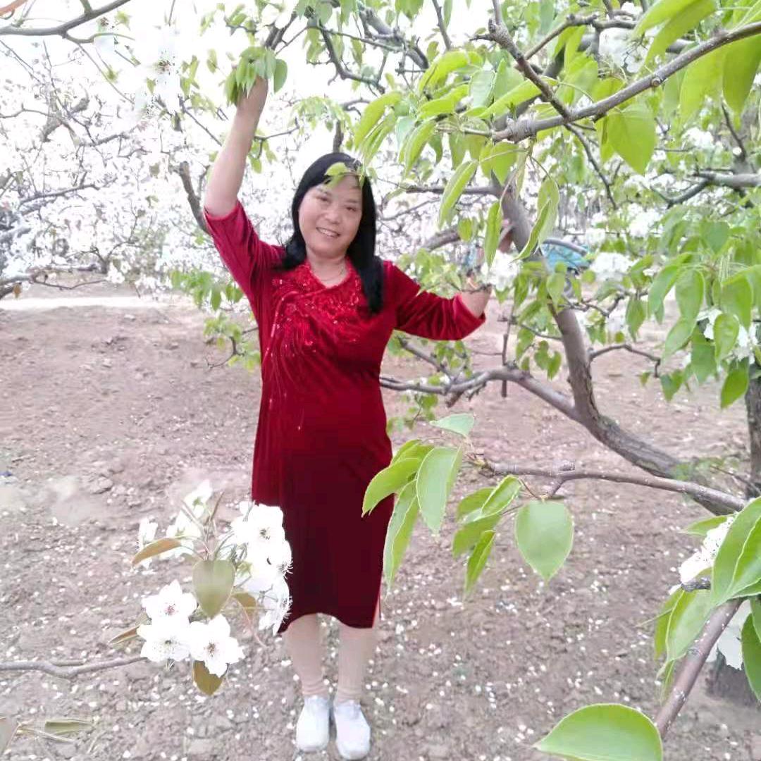 幸福的（四千金妈妈）🌸
