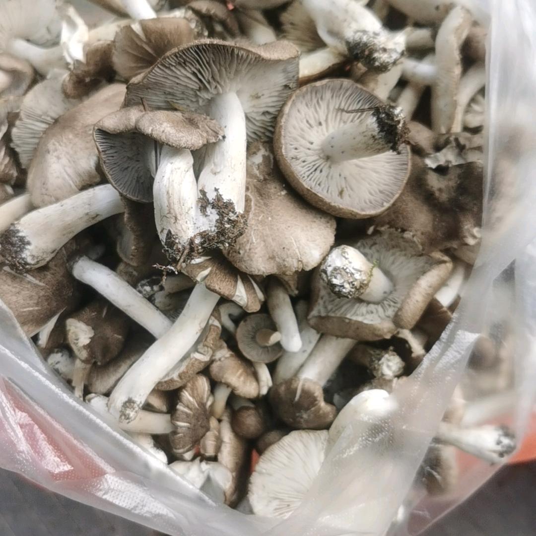 珍惜当下💖💖💖💖💖