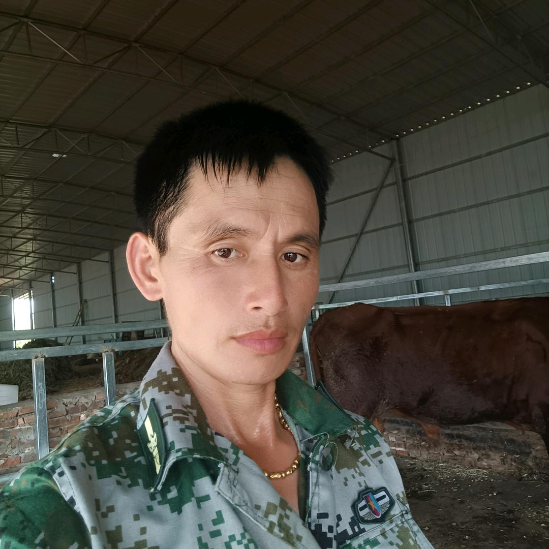 老斌农场老斌窗帘