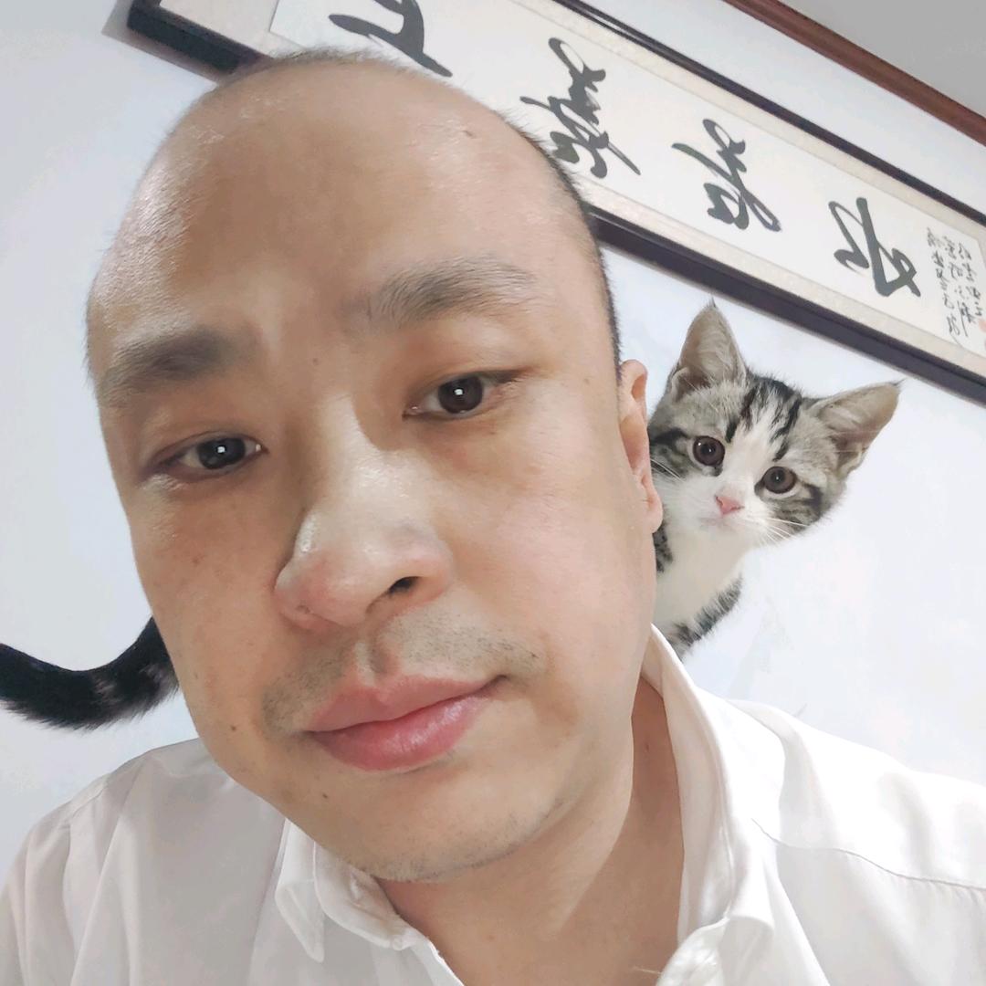 曹氏盖饭(盖饭哥)