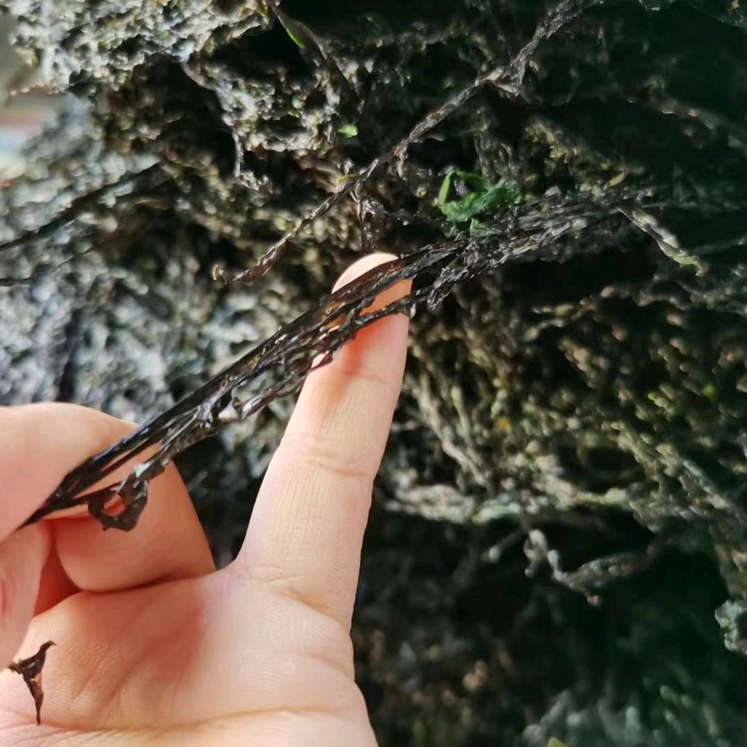 建材砍价王