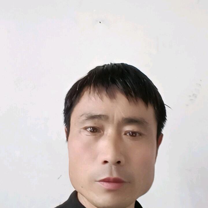 豫哥小弟等待