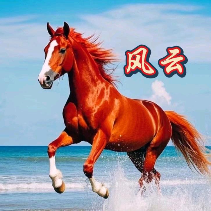 ༺🐴风ོ云🌄༻