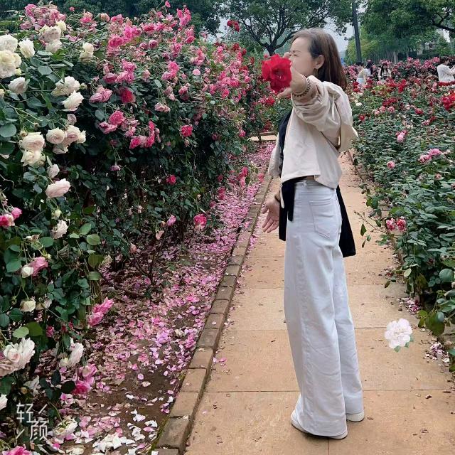忘忧草🇨🇳