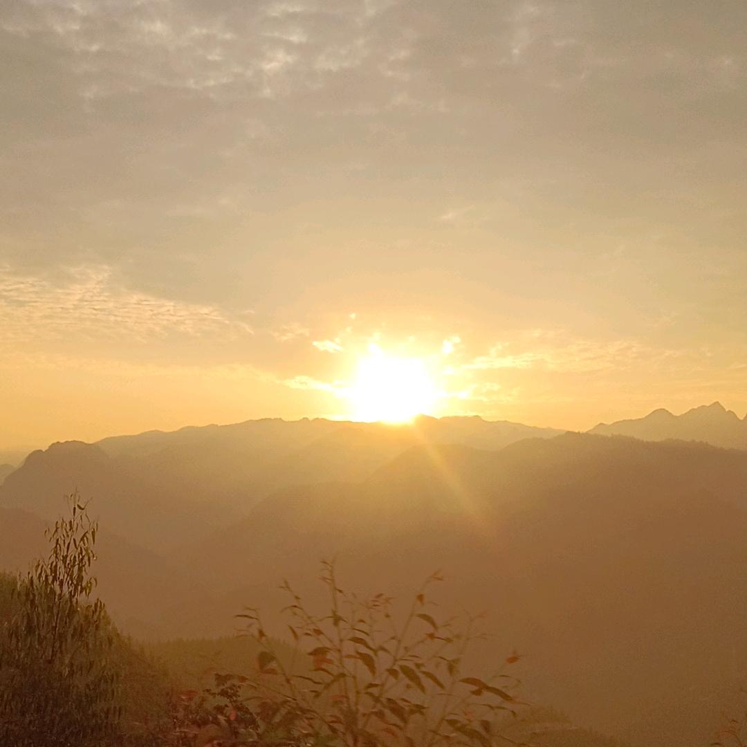一杯烈酒敬过往