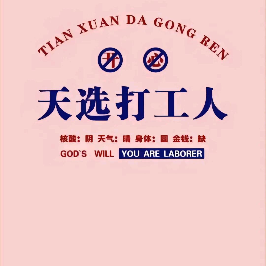 天选打工人