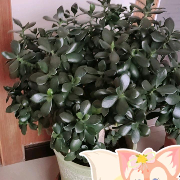 曾经沧海难为水