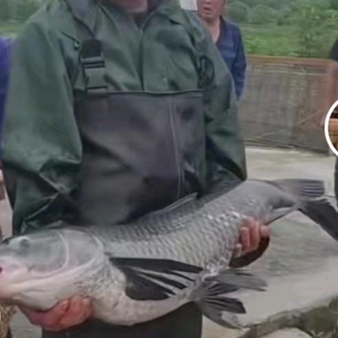 合川云门白家湾金玲钓场