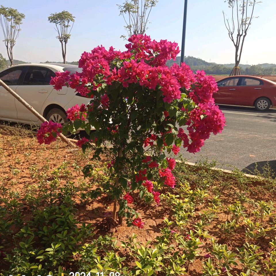 （山三妹1123）一切随缘