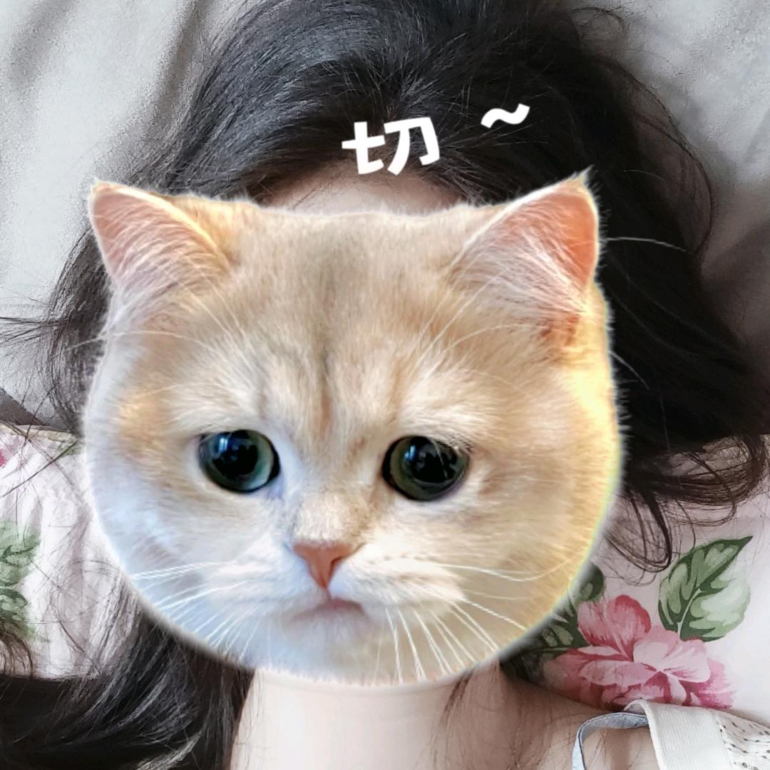 💓💗憨皮燕💗💓