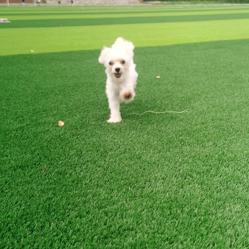 把真成留给懂你的人