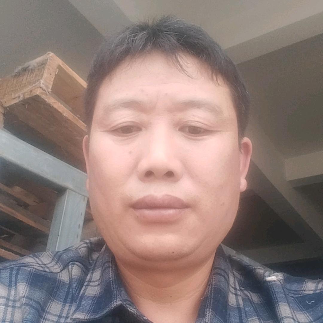 爱情《背伤》