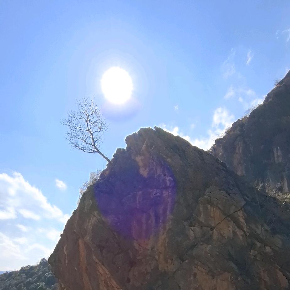 自由随风
