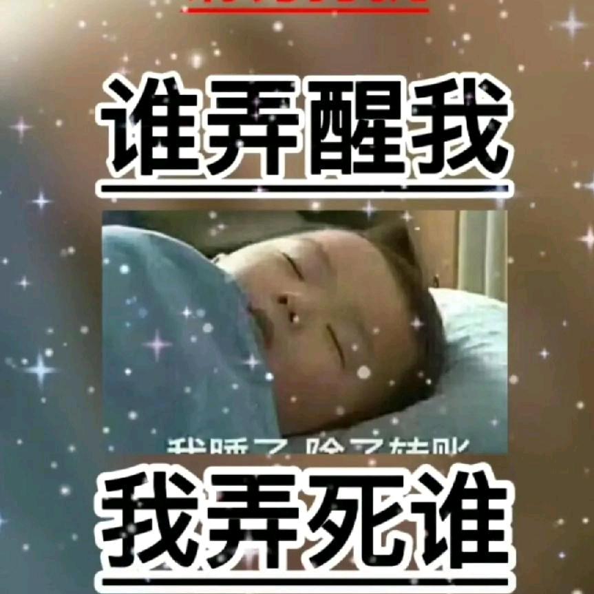 🌴！！🐲！！！🐉