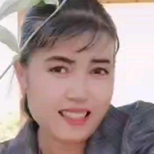 叶来.cn