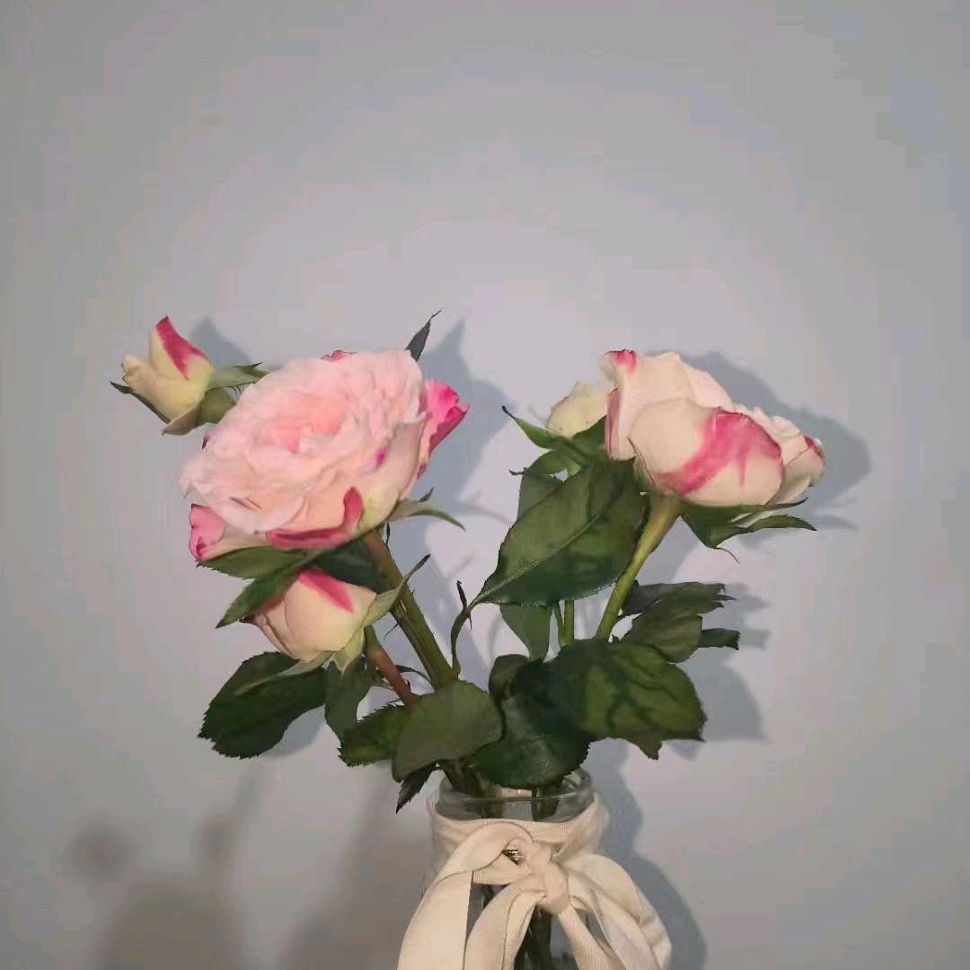 我叫粥粥