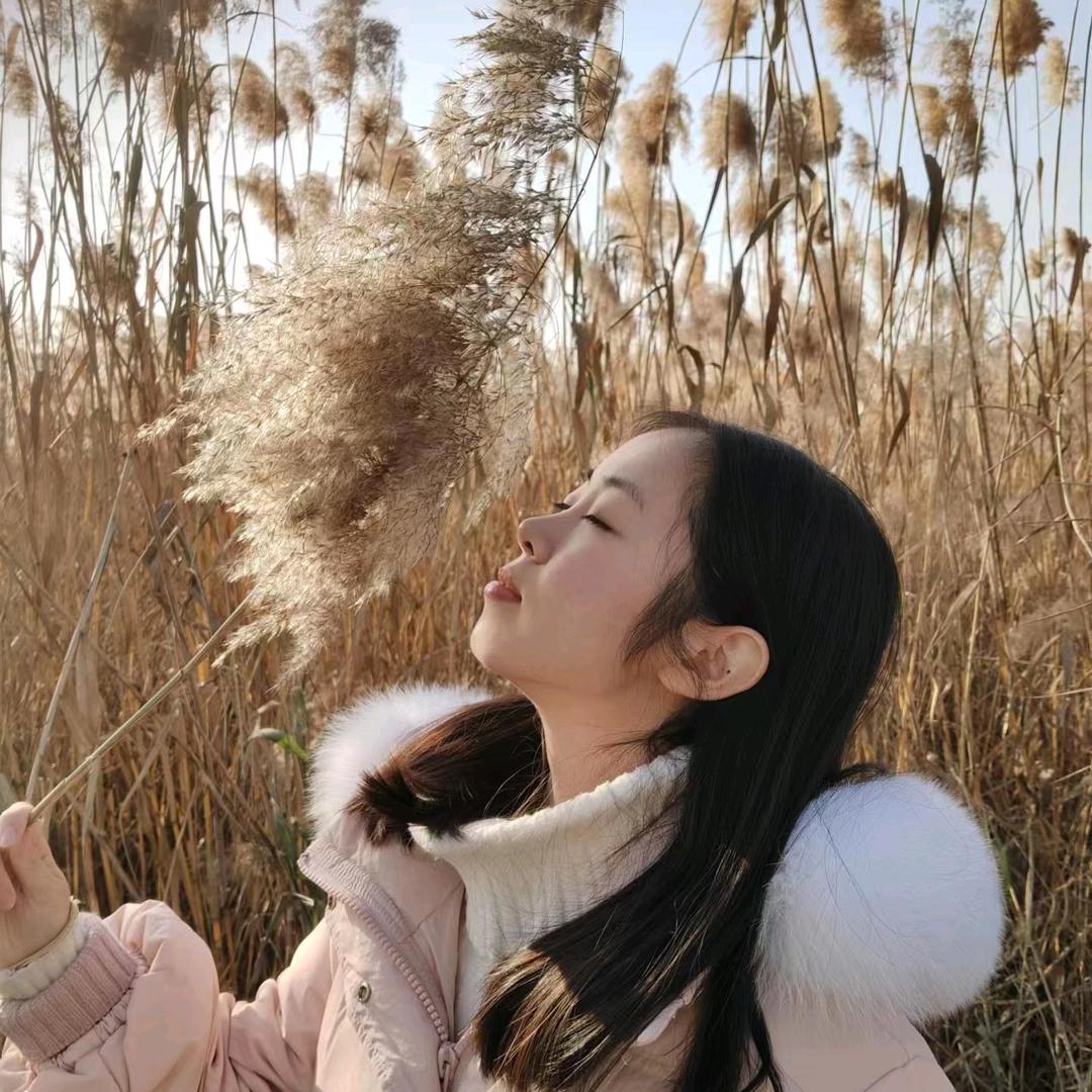 晓蝶