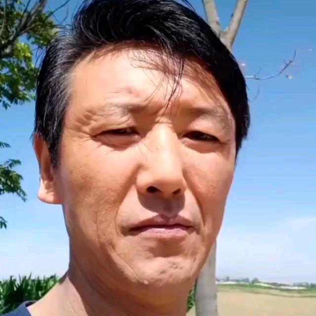 西来顺家政服务部