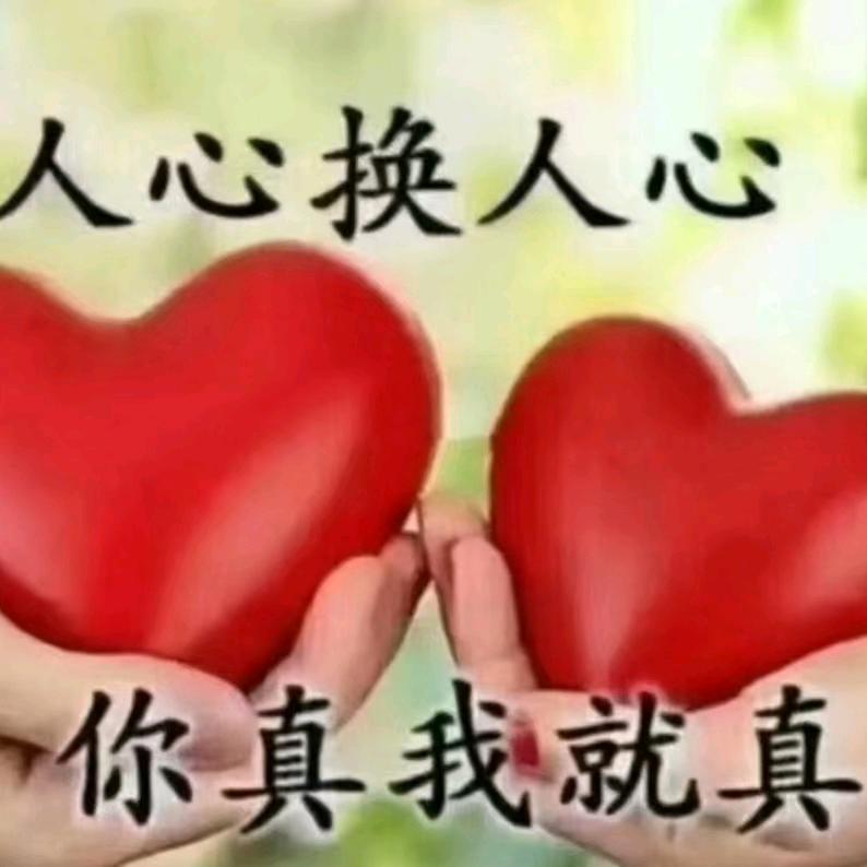 开了（助力主包看权志龙演唱会版）