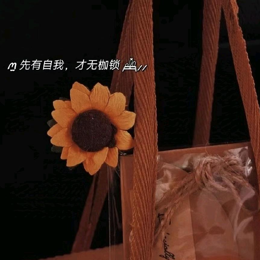 去无人的岛，摸鲨鱼的角