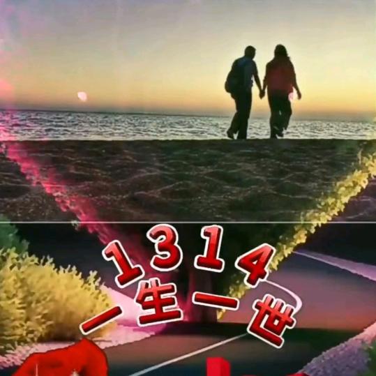 喜杨杨