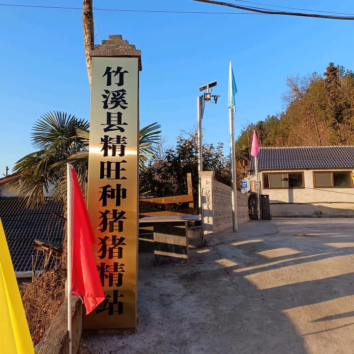 竹溪县精旺养殖服务站