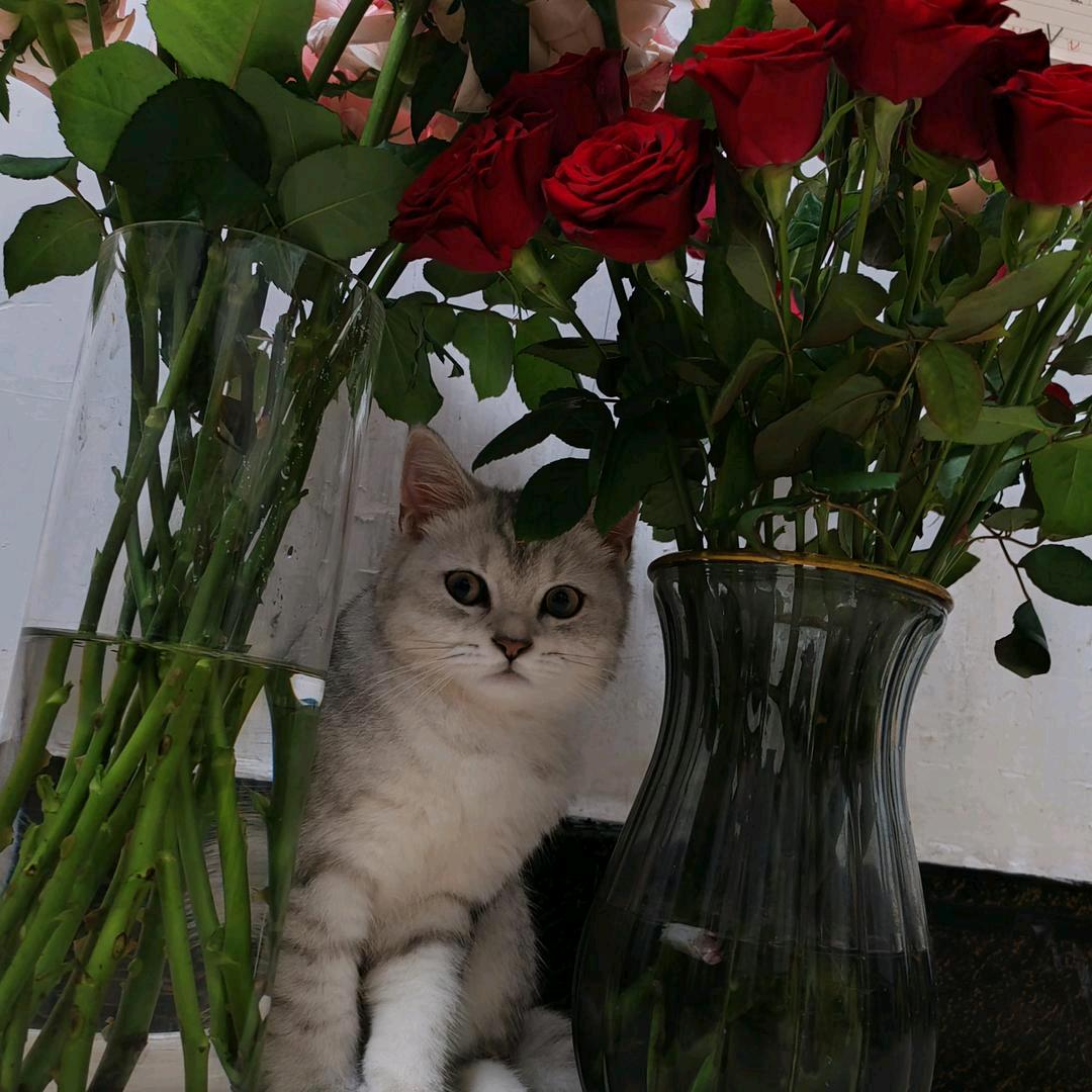 颜小姐养鱼日记