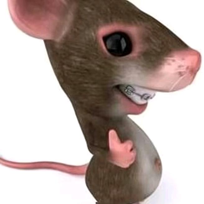 暗区小鼠