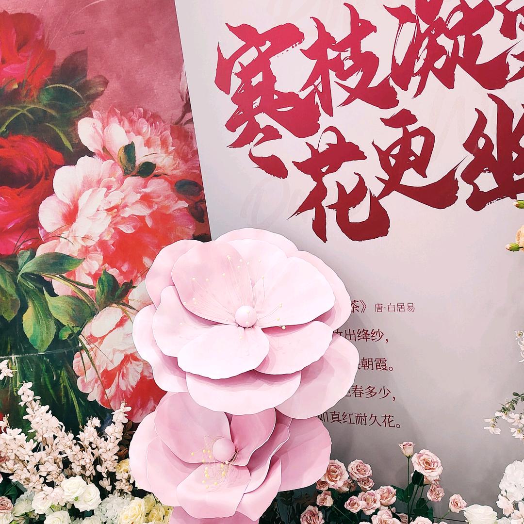 浅来小姐姐