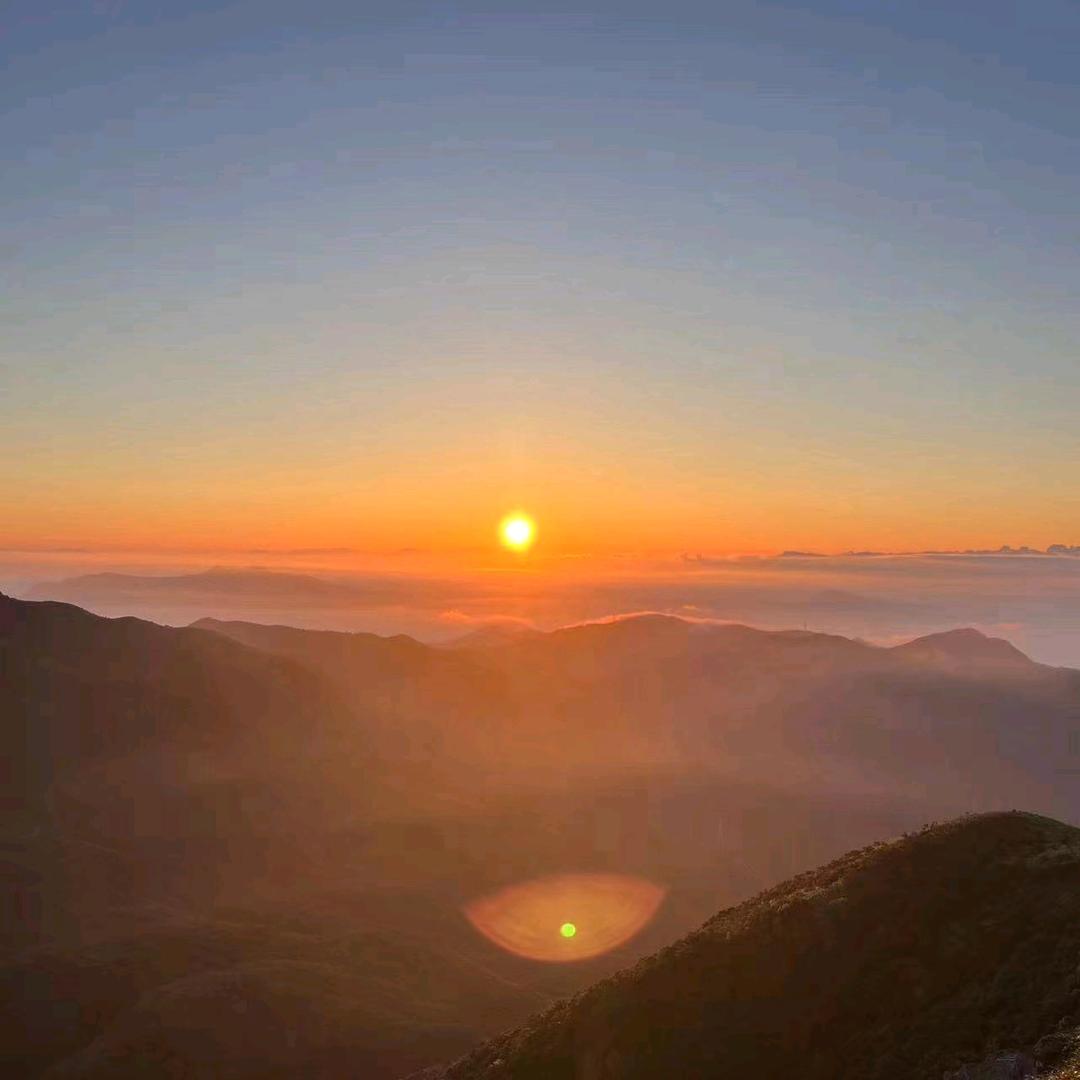 可爱财迷mi