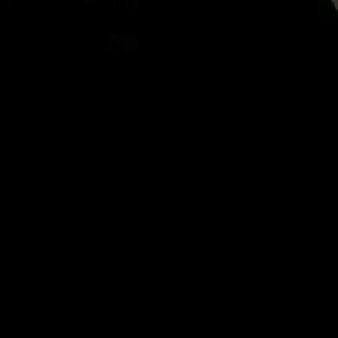 小糊涂虫