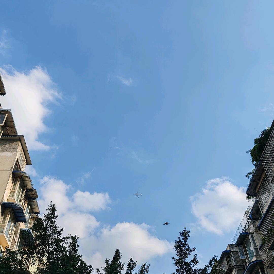 秋分糖（习字ing）