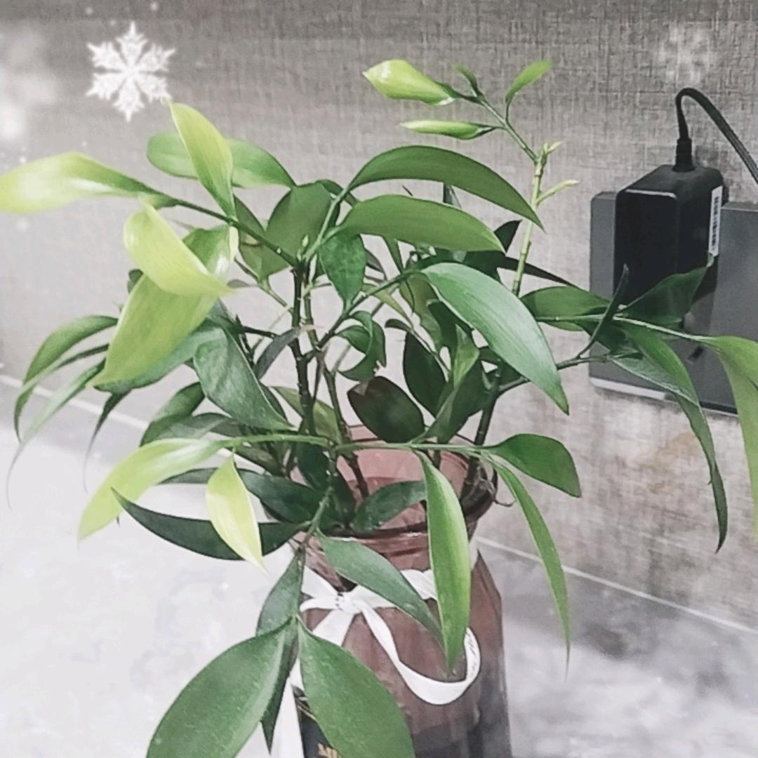 南极🙈