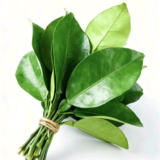 公主zhang头发啦！必须十点睡觉