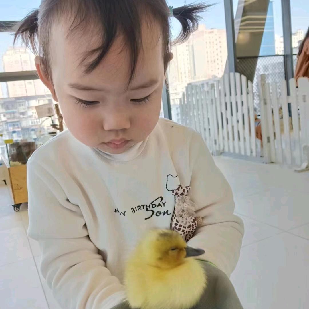 王公子.